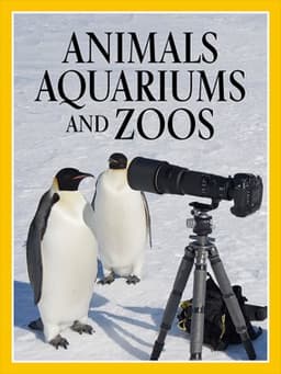Animals, Aquariums, and Zoos